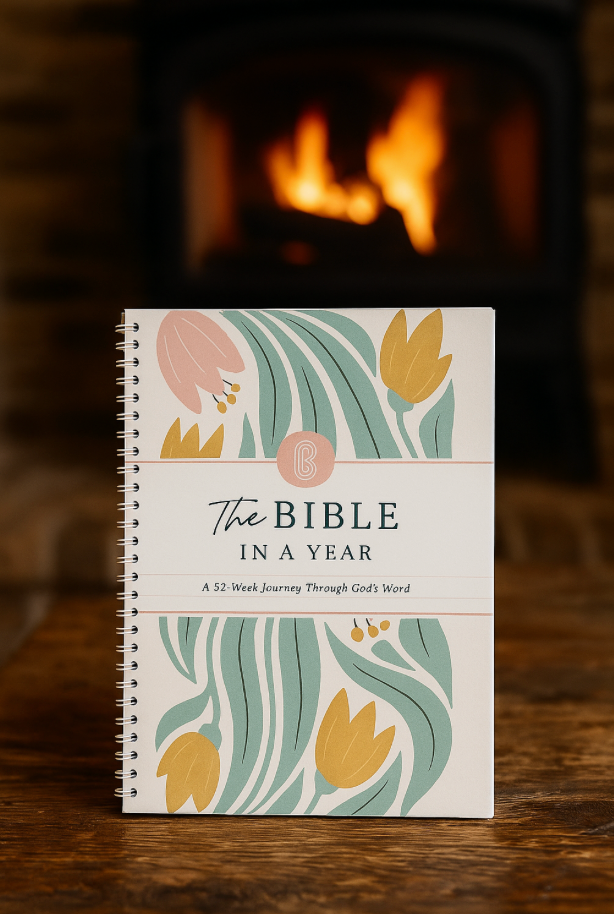 A Beautiful 52-Week Reading Plan Bible in a year