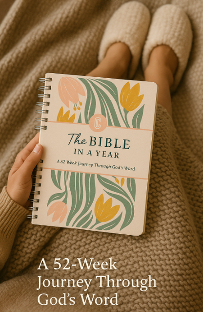 A Beautiful 52-Week Reading Plan Bible in a year